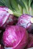 Red Cabbage-Chris Adams